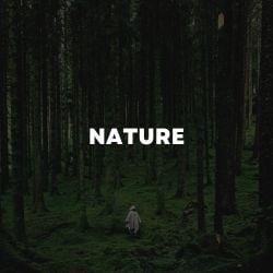 Nature Songs - Aoudio.com