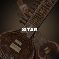 Sitar - www.Aoudio.com